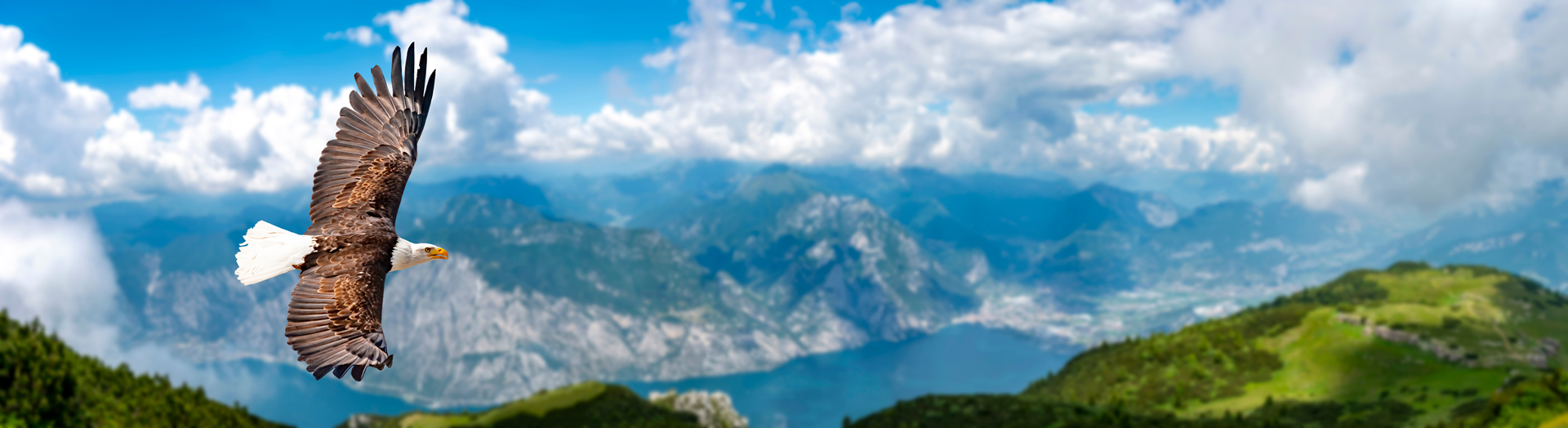 Building strong brands